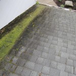 Low pressure to clean certain roofs and certain moss. Safer then a brush. See photos