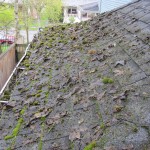 Portland Oregon Roof Cleaning Before And After Photos.