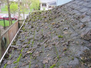 Roof Cleaning Portland OR Before