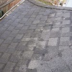 Portland Oregon Roof Cleaning Before And After Photos.
