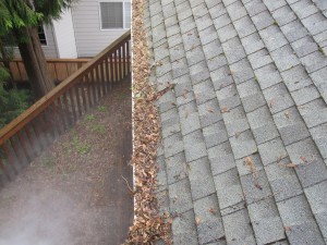 Get Your Gutter Screens Clean, Before, Gutter Cleaning In Portland Gutter Cleaners