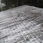 Portland OR Roof Cleaning Moss Removal Pics Good Before And After