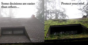 Roof Cleaning Moss Removal Portland Or + Jnrind.com For Gutter Cleaning