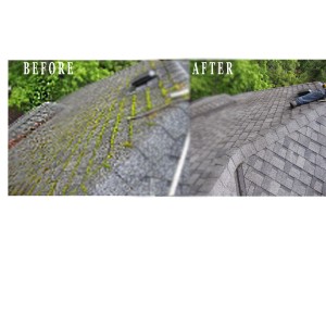 Before_after Roof cleaning in portland OR Moss Removal