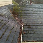 The before and after photo of the day for roof cleaning in Portland!