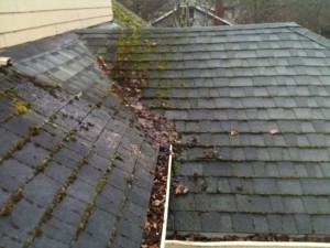 Roof cleaning Moss 1