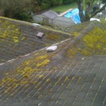 Roof and gutter cleaning in Portland Oregon photo of the day. Roof cleaners in Portland by JNR