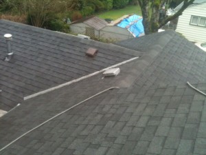 Mossy roof in Oregon 2