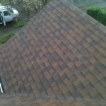 Portland roof moss removal photo of the day