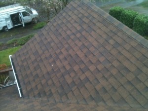Portland roof cleaning before after