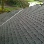 Roof cleaning photos of the day!  Jnr roof maintenance and moss removal.