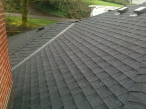 Roof cleaniers in portland b