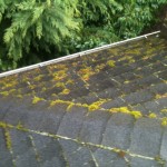 Roof cleaning photos of the day!  Jnr roof maintenance and moss removal.