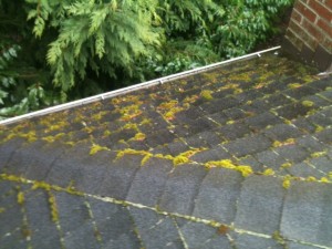 Roof cleaning a