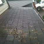 Picture of the day. Portland Oregon roof cleaners and roof leak repairs in Portland.