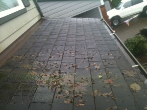 before roof cleaners 1