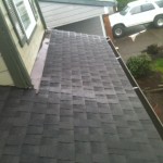 Picture of the day. Portland Oregon roof cleaners and roof leak repairs in Portland.