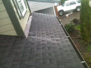 before roof cleaners 2