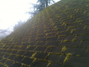 photo 1 mossy roof portland or