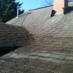Photo of the day Portland Oregon Roof Cleaning.