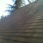 Do you want to get another 5 - 10 years of life out of your roof with maintenance?