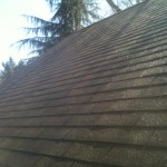 Do you want to get another 5 - 10 years of life out of your roof with maintenance?