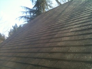 photo 2 mossy roof portland or