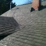 Photo of the day Portland Oregon Roof Cleaning.
