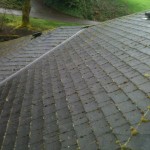 Roof cleaning photos of the day!  Jnr roof maintenance and moss removal.