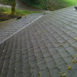 Roof cleaning photos of the day! Jnr roof maintenance and moss removal.