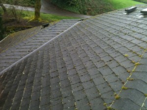roof cleaners in portland a