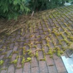 Roof cleaning roof moss removal no matter the season or the weather, photo of the day working in a rain storm.