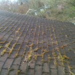 Roof cleaning roof moss removal no matter the season or the weather, photo of the day working in a rain storm.
