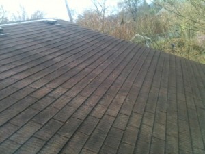 roof cleaning moss removal treatment b