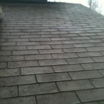 Roof cleaniers in Portland JNR! Photo of the day!