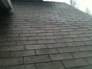 very mossy roof 2