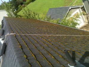 Commercial roof cleaning job by jnr A