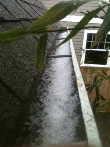 Gutter cleaning in NE Portland great shot of bamboo and hail storm.  Portland gutter cleaner contractors.