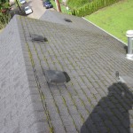 commercial roof cleaning done by JNR. Commercial roof cleaning jobs in Portland OR.