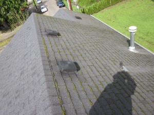commercail roof cleaning