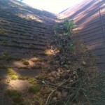 Bank Repo roof cleaning Old roof cleaning in Portland.