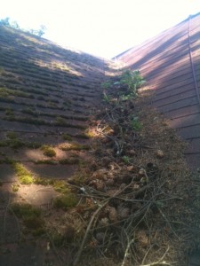 roof cleaning valley 1