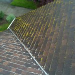 Some roof cleaning photos posted from JNR its been awhile.