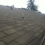 Moss removal on an ugly 3 tab roof. Nice before and after photo.