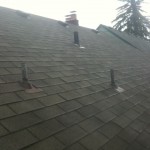 Moss removal on an ugly 3 tab roof. Nice before and after photo.