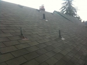 3 tab roof moss cleaning 2