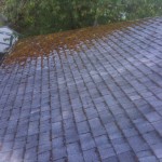 We destroy the infestation of moss on your roof or on areas you dont want it and have the photos to prove it.