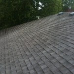 We destroy the infestation of moss on your roof or on areas you dont want it and have the photos to prove it.