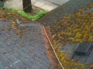 NE Portland Roof cleaning moss removal.