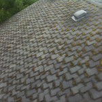 Presi style roof moss removal www.jnrind.com
